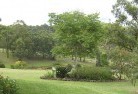Merrijig VICresidential-landscaping-40.jpg; ?>